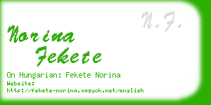 norina fekete business card